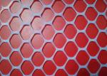 30X30mm 450g sqm Plastic Netting Mesh