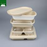 Custom Biodegradable Sugarcane Bagasse Pulp Fiber Fast Food Packing Paper Box