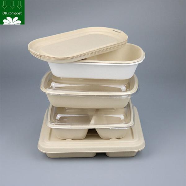 Custom Biodegradable Sugarcane Bagasse Pulp Fiber Fast Food Packing Paper Box
