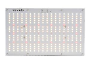 Wholesale Separate Hanger 120W AC85V UV LED Grow Lights from china suppliers