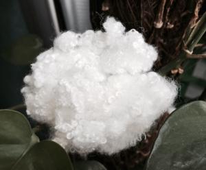 Wholesale Bright White Hollow Conjugated Siliconized Polyester Fiber 7Den / 15Den Grade AAA from china suppliers