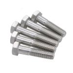 100pcs Hex Head Bolts Silver Plated for Corrosion Resistance and Durability