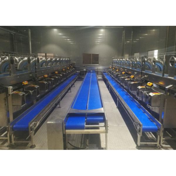 Automatic Control Coconut Milk Processing Plant / 4000LPH Fruit Processing Plants