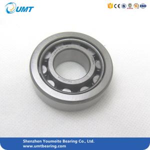 Wholesale NJ Series Stainless Steel Cylindrical Roller Bearing NJ202 NJ203 NJ204 NJ304 from china suppliers