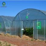 Galvanized Steel Single Span PE Film Greenhouses For Agriculture