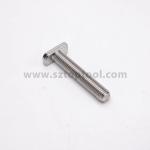 304 316 Stainless Steel T Bolt M6 Hex Bolts For PV Box Fasteners