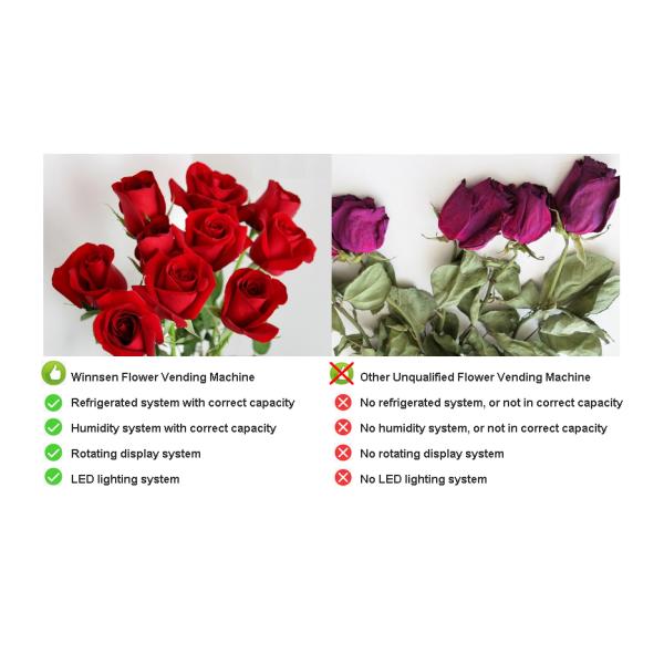Winnsen Refrigerated Humidified Flower Bouquet Vending Machine With Cooling System And Transparent Shelf