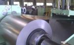 Hot Rolled 300 Series 430 304L 304 Stainless Steel Coil / Roll NO. 1 HL Surface