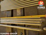 ASTM A312 TP310S Seamless Stainless Steel Heat Exchanger Tube Superior High