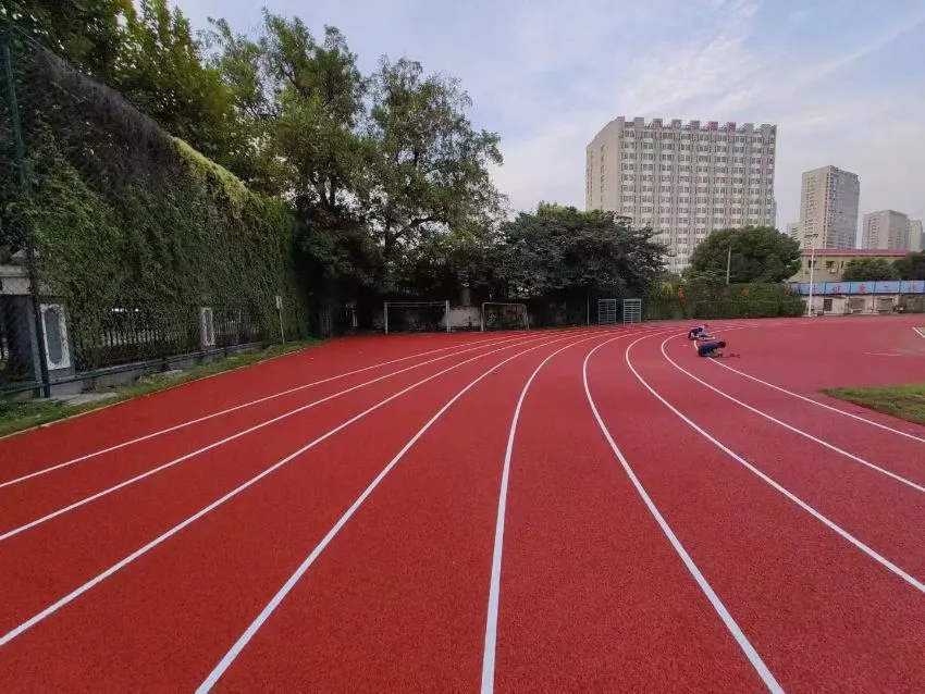 Black Recycled Tires SBR Granules Fifa Standard for Artificial Grass Turf Infill