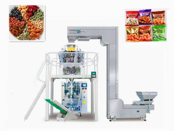 China fruit chips/preserved fruit packaging machine automatic packaging