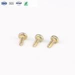 Golden Decorative Screws Carbon Steel Small Self Tapping Screws Disc Head For