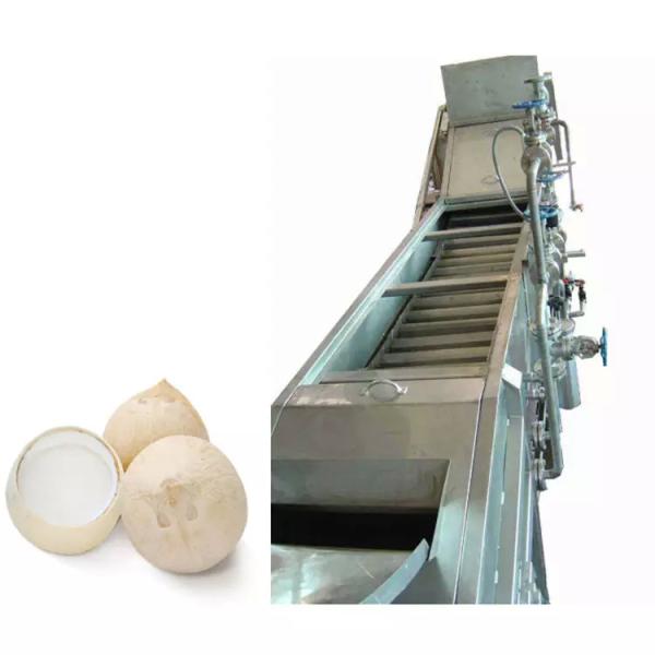 Customized Coconut Milk/water Process Machine Fruit Juice Press Extractor Machine Coconut Production Plant Fruit juice processing line