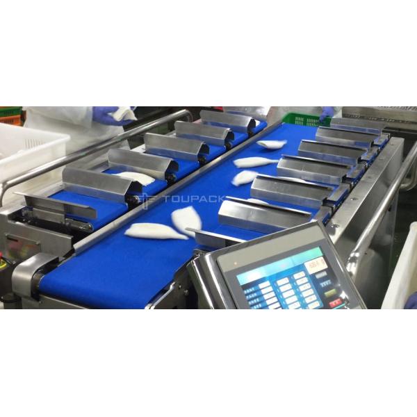 PLC Control System 12 Head Combination Weigher For Squid Cone Quail Eggs