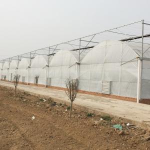 Wholesale Indoor or Greenhouse Planting Made Easy with Food Grade PVC Hydroponic Growing System from china suppliers
