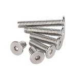 Hex Drive Stainless Steel Fastener with Polish Finish for Industrial Application