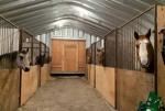 Prefabricated Steel Structure Steel Horse Stable Building