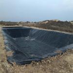 Geomembana HDPE 1mm Geomembranes for Fish Shrimp Pond Liner White Aquaculture