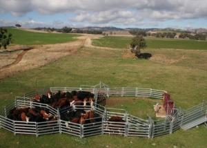 Wholesale 40x80mm Oval Tube Livestock Fence Panels Galvanized Corral Farm Equipment from china suppliers