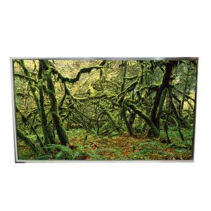 Wholesale LD490EPY-SHP1 51 Pins 1920*1080 60Hz LCD Screen for Digital Signage from china suppliers