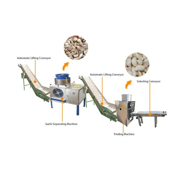 Commercial Garlic Peeling Line Peeler Machine Garlic Bulb Breaking Machine