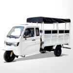 800W Semi-Cabin Motorized Cargo Tricycle with Enclosed Cabin and Plastic Cargo
