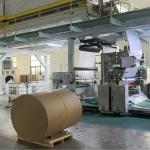 Gray-Base White Cardstock For Food Packaging FDA-Compliant & Grease-Resistant