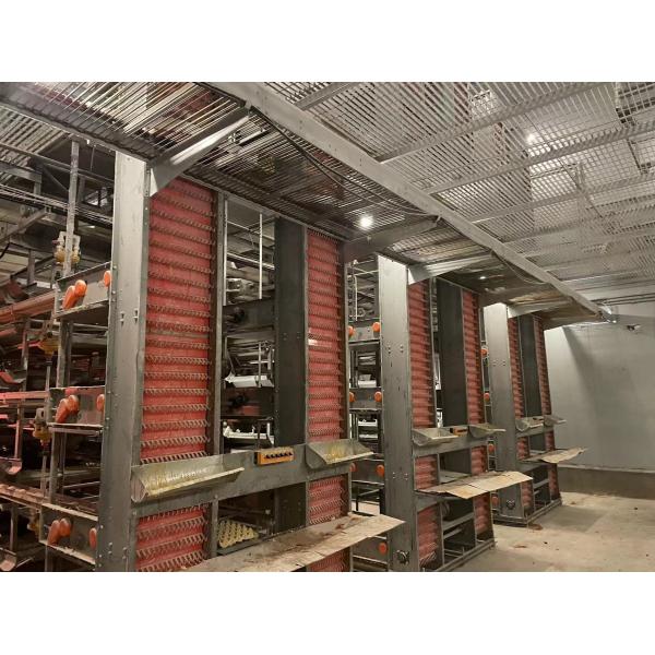 High Efficiency H Type Layer Chicken Cage System 1800×600×430 Mm Scientific Design