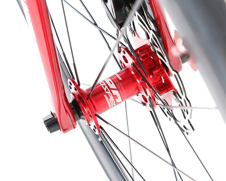 Carbon Fiber Road Bike 700C Thru Axle 142mm Disc Brake SHIMANO 105 R7000 Speed