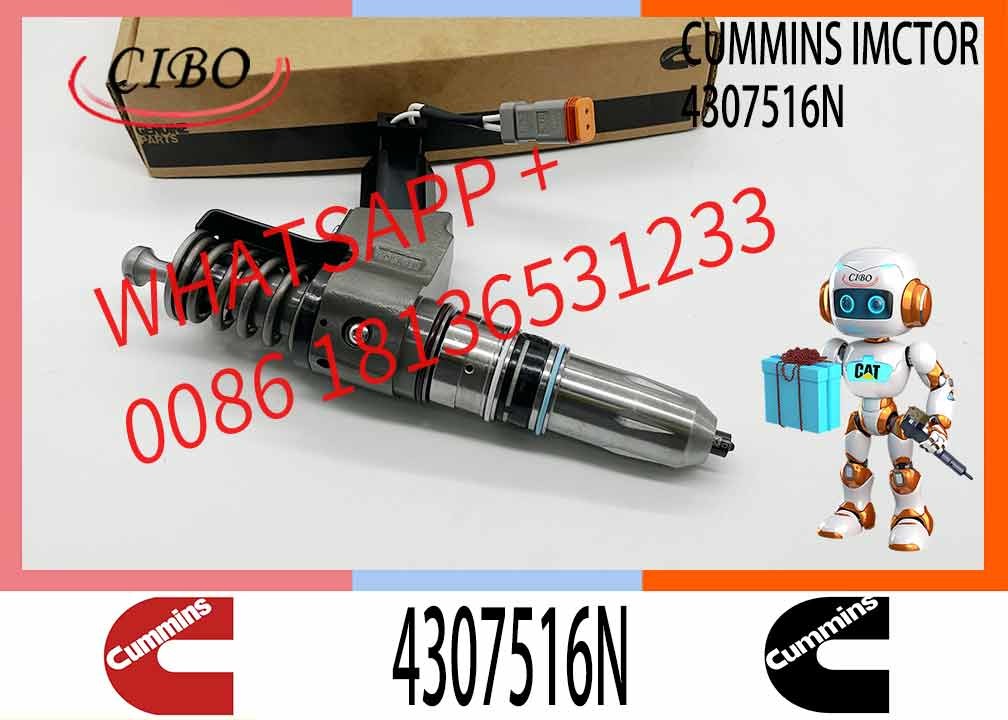 Auto Parts Common Rail Diesel Fuel Injector 4307795 3073995F For Cummins QSN14 N14