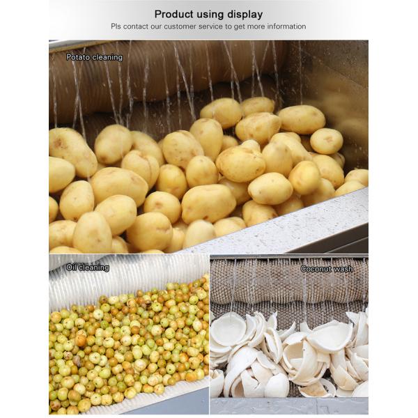 Large scale brush Washing cleaning and peeling machine Ginger Potato Carrot Taro Sweet potato Yam Saiko persimmon papaya horseshoe macadamia nut