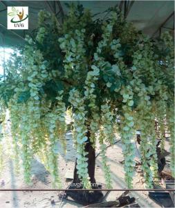 Wholesale UVG 2 meter artificial indoor tree with green silk wisteria flowers for wedding decoration from china suppliers