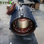 Vertical 3 Phase Wind Generator 2Kw Low Rpm Generator