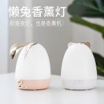 New Product Ideas 2019 USB Essential Oil new product ultrasonic mist maker air