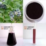 pure cranberry flavor powder factory price Cranberry juice powder Cranberry