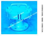 Stainless Steel Oil Sewage International Shore Connectionmodel AS6100 CB/T3657