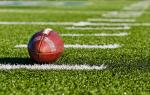 Taishan Brand 12000 Dtex Artificial Sports Turf And 5/8'' Gauge 8820 Density