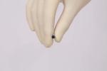 F10-F14 Ureteral Access Sheath Hydrophilic Coating
