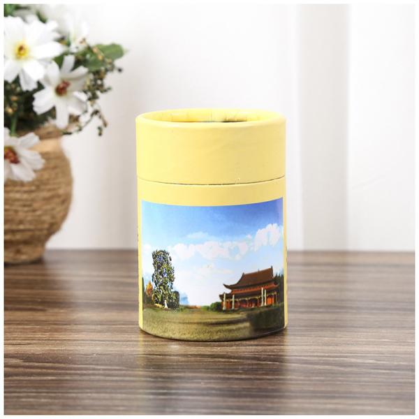 Food Grade Paperboard Tube Packaging Embossing Cardboard Lip Balm Tubes Bulk