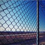 6 Foot Chain Link Wire Mesh Fencing Hot Dip Galvanized Pvc Coated