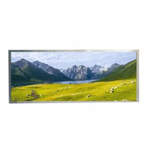 Wholesale HannStar 12.3&quot; TFT IPS LCD 1920x720 850nits WLED LVDS 50pins from china suppliers