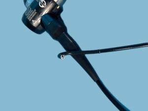 Wholesale BF-P150 Bronchoscope Flexible Scope 180 deg with 2.0mm Instrumental Channel from china suppliers