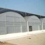 Multi Span Plastic Film Greenhouses for Vegetable Farming 50m Length Stable