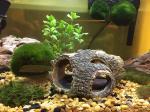 Artificial Driftwood Aquarium Decoration Items