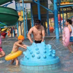 Wholesale Fiberglass Water Playground Equipment Hedgehog Spray Product For Amusement Park from china suppliers