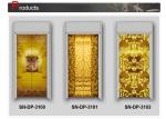Stainless Steel st . St Splendid Elevator Door Panel for Passenger Lift