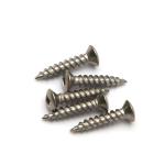 DIN7983 A2 SS 304 Stainless Steel Self Tapping Screws SQ Drive Raised Head Inox