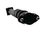 TS16949 2513202331 Mercedes Benz Air Suspension Rear Spring Shock Absorber W251