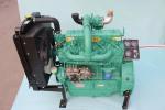 Weichai Weifang Ricardo ZH4100ZD 40kw 4 Cylinder Diesel Engine for Diesel