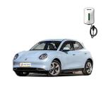 ORA Good Cat 401SUV Electric car Adult Edition Left Steering Front disc Rear